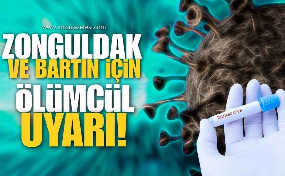 Zonguldak Ve Bartın İçin Ölümcül Uyarı! Hantavirüs Tehlikesi!