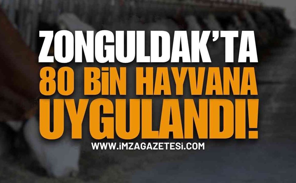 Zonguldak’ta 80 Bin Hayvana Uygulandı!