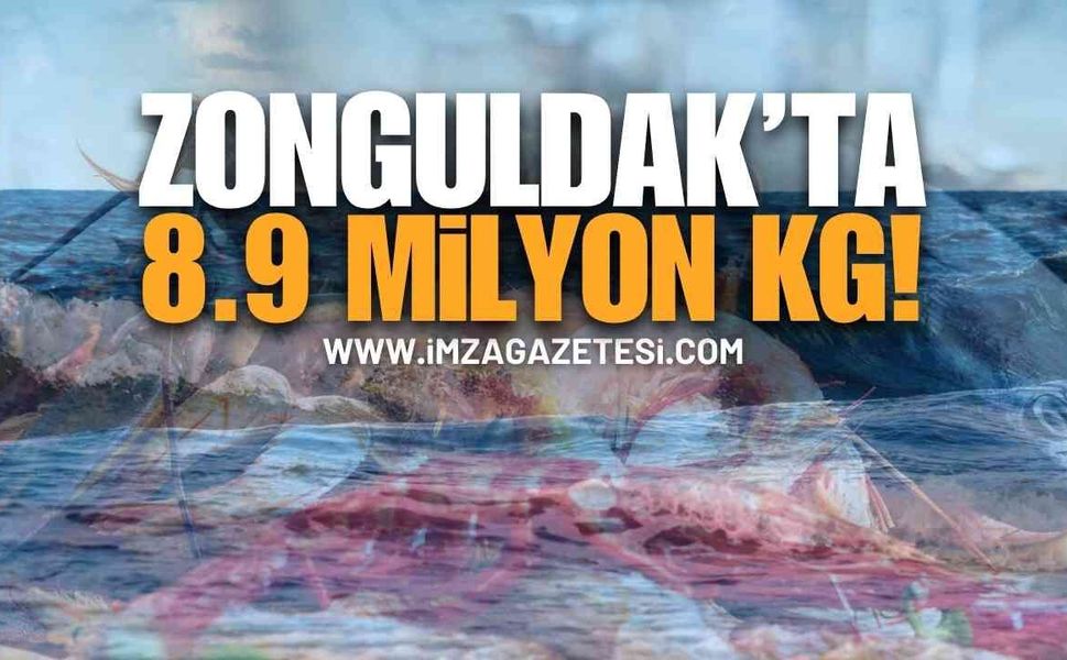 Zonguldak’ta 8.9 Milyon Kilogram Deniz Ürünü! | Zonguldak haber