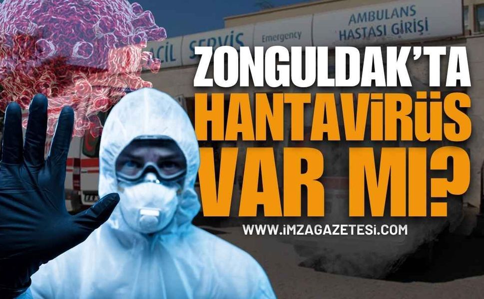 Zonguldak'ta Hantavirüs Paniği: Kentte Hantavirüs Var Mı?