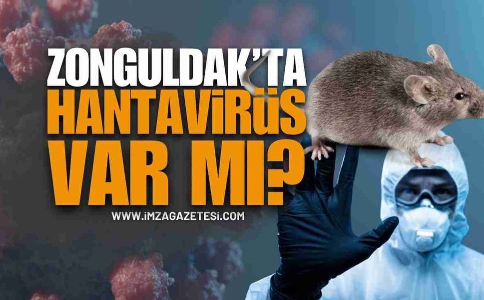 Zonguldak’ta Hantavirüs Paniği: Vatandaşlar Tedirgin!