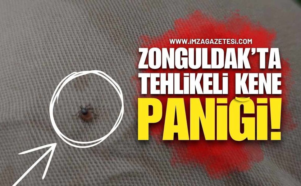 Zonguldak’ta Tehlikeli Kene Paniği!