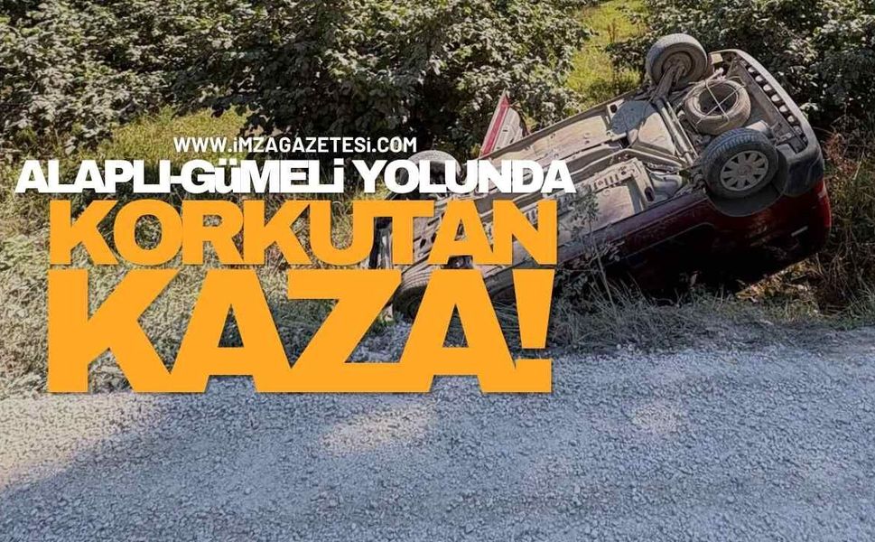 Alaplı-Gümeli Yolunda Korkutan Kaza!