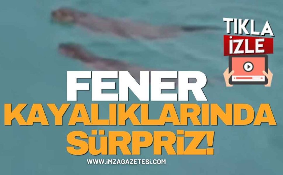 Fener Kayalıklarında Sürpriz Görüntü!