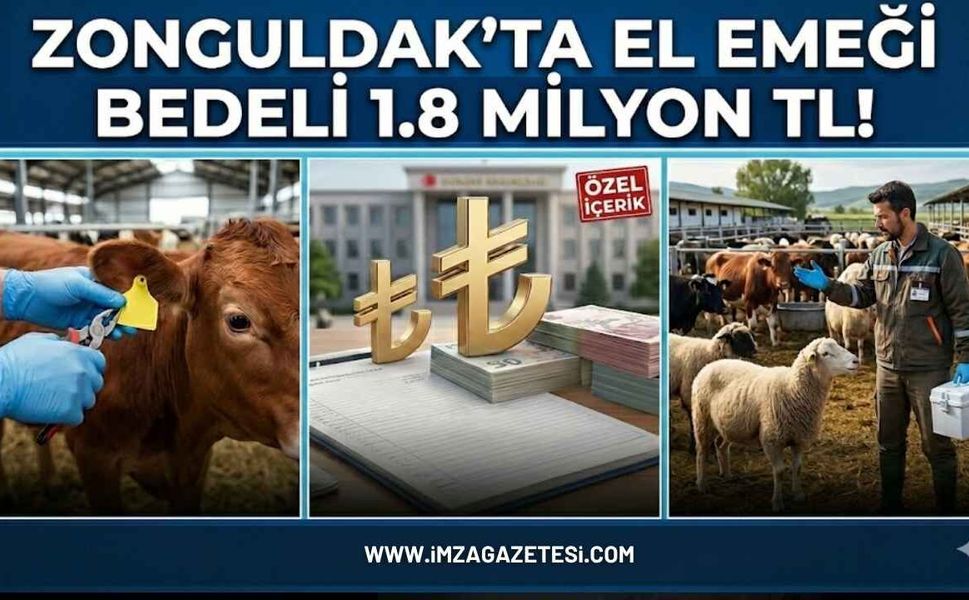 Zonguldak’ta El Emeği Bedeli 1.8 Milyon TL!