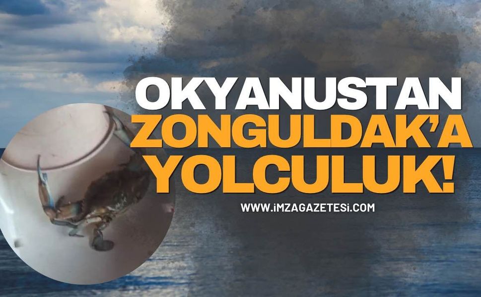 Okyanustan Zonguldak’a Yolculuk!