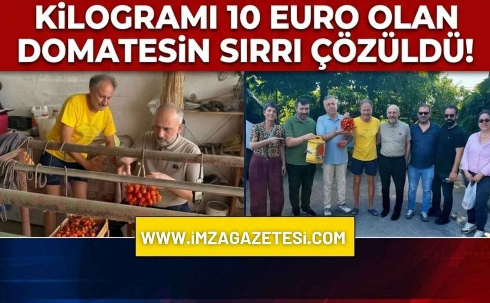 Kilogramı 10 Euro Olan Domatesin Sırrı Çözüldü!