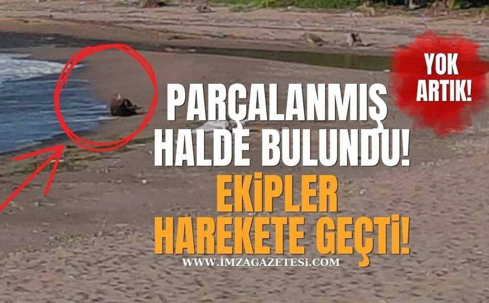 Sahilde Parçalanmış Halde Bulundu! Ekipler Harekete Geçti!