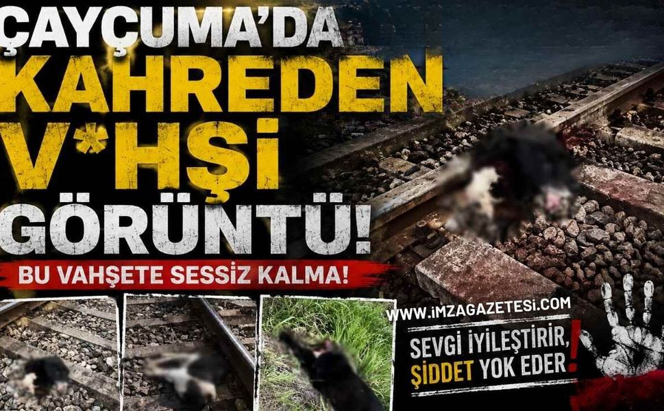 Çaycuma'da Kahreden V*hşi Görüntü!