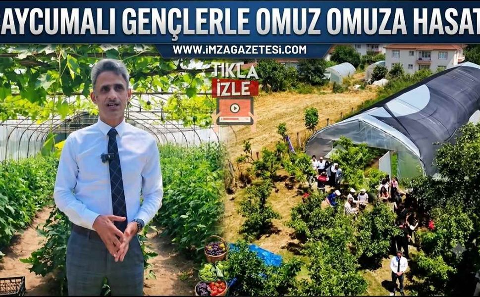 Çaycumalı Gençlerle Omuz Omuza Hasat!