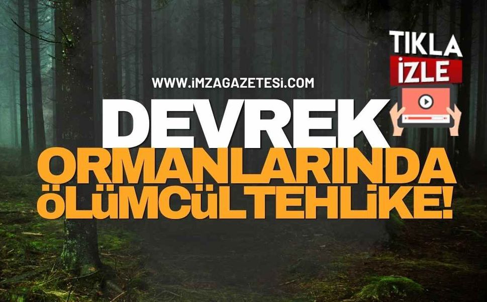 Devrek Ormanlarında Ölümcül Tehlike!