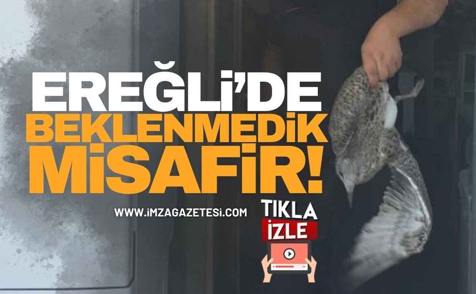 Ereğli’de Beklenmedik "Müşteri"!