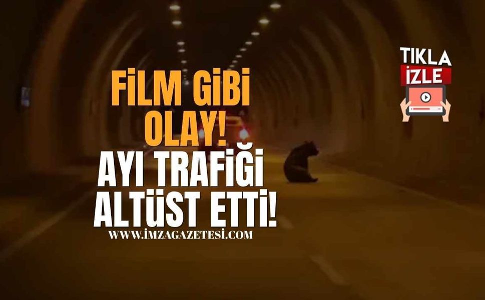 Film Gibi Olay! Karabük’te Tünele Giren Ayı Trafiği Altüst Etti!