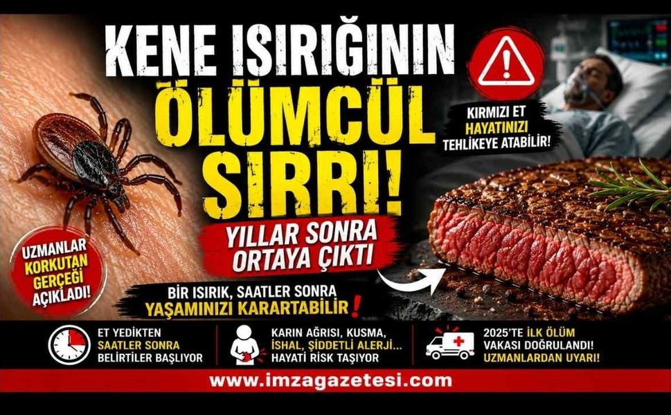Kene Isırığının Ölümcül Sırrı! Yıllar Sonra Ortaya Çıktı!