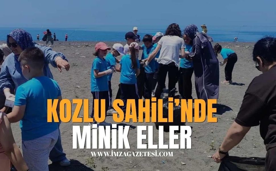 Kozlu Sahili'nde minik eller!