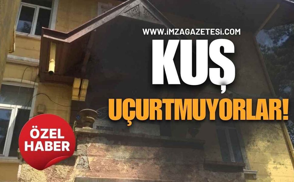 Kuş Uçurtmuyorlar!