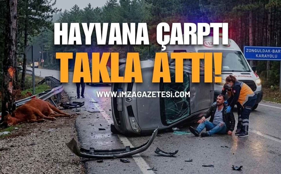 Otomobil Büyükbaş Hayvana Çarptı!
