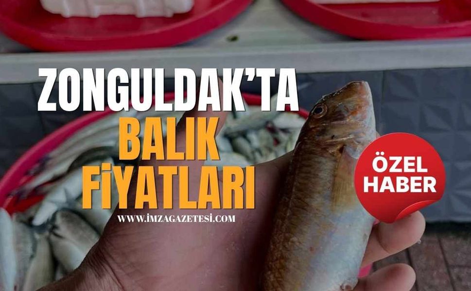 Zonguldak’ta Balık Fiyatları!