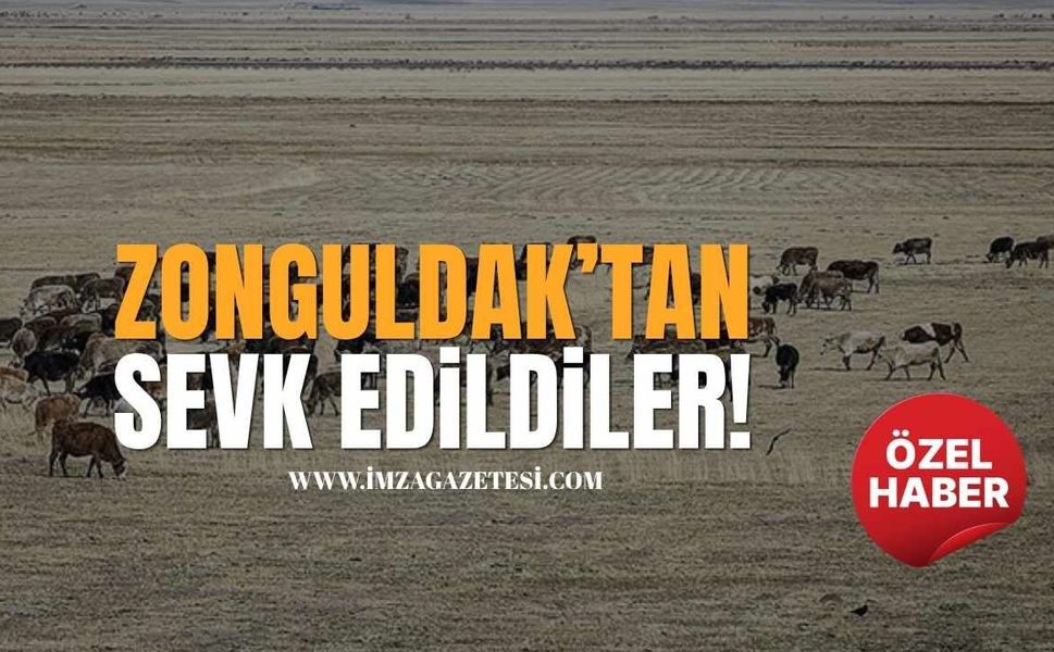 Zonguldak’tan Sevk Edildiler!