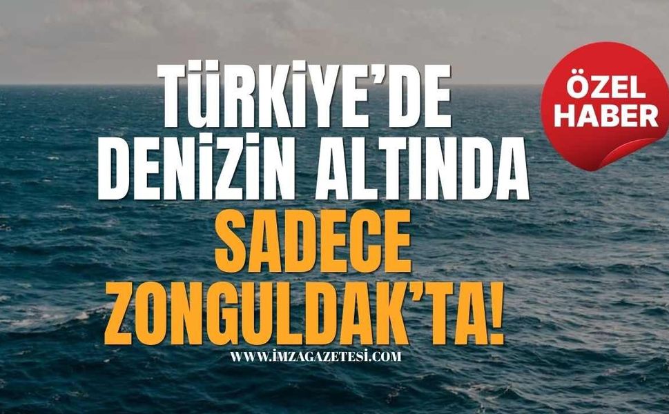 Türkiye’de Denizin Altında Sadece Zonguldak’ta!