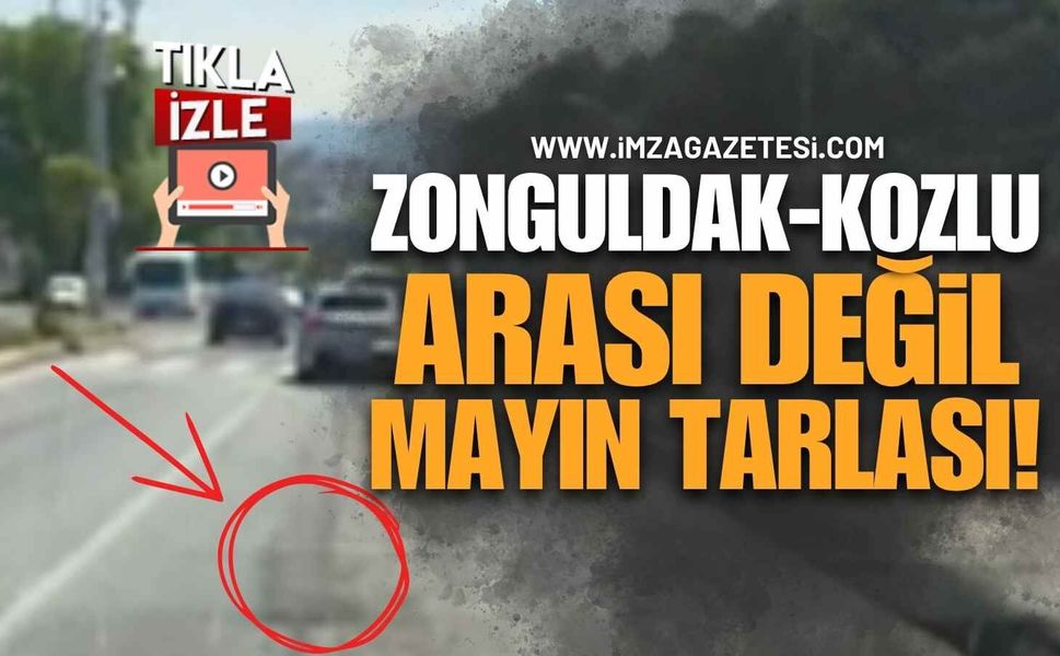 Zonguldak-Kozlu Arası Değil, Mayın Tarlası!