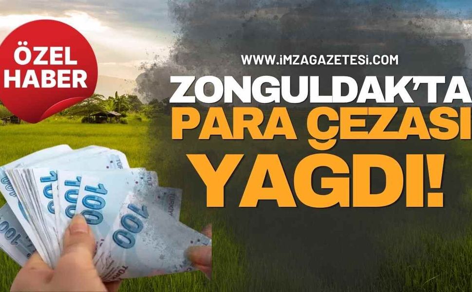 Zonguldak’ta Kanuna Aykırı Arazi Kullananlara Para Cezası!
