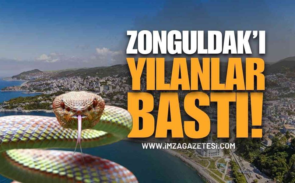 Zonguldak'ta Yılan Sayısındaki Artış Vatandaşları Korkutuyor