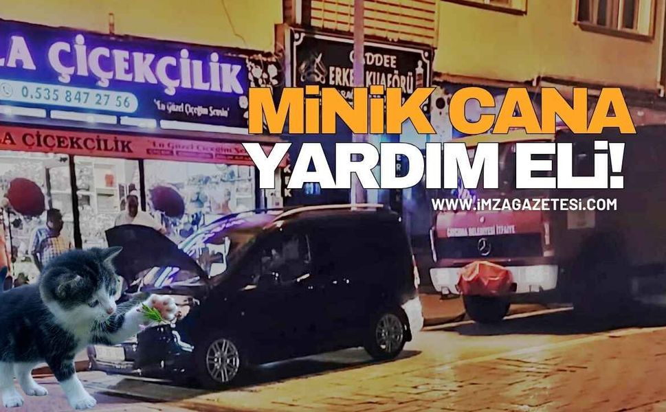 Aracın Motoruna Sıkışan Kedi Kurtarıldı!