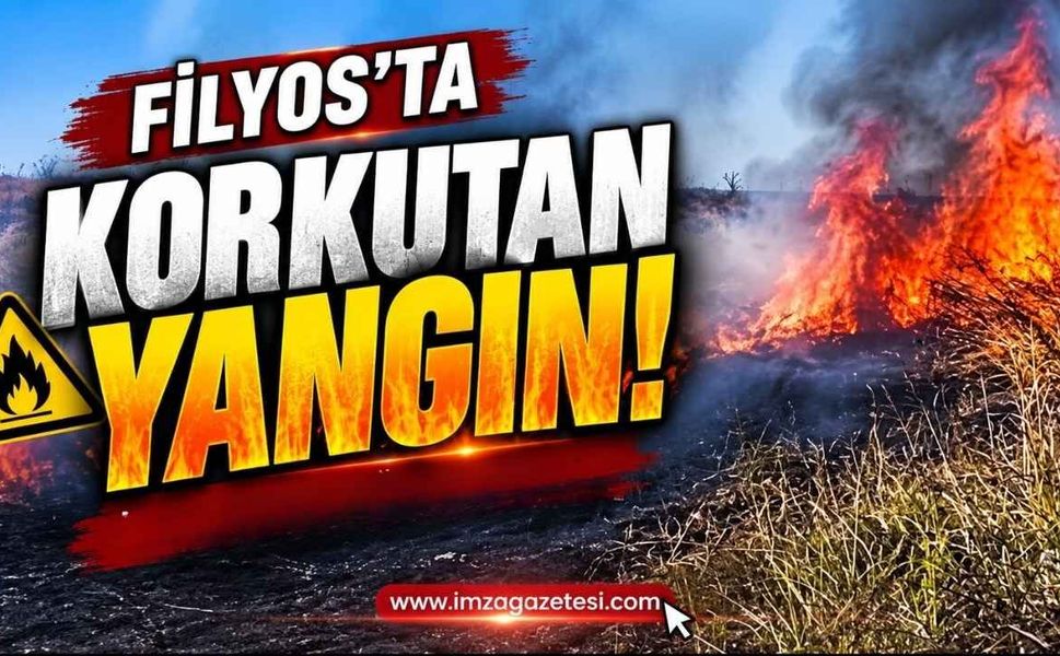 Filyos’ta Korkutan Yangın!