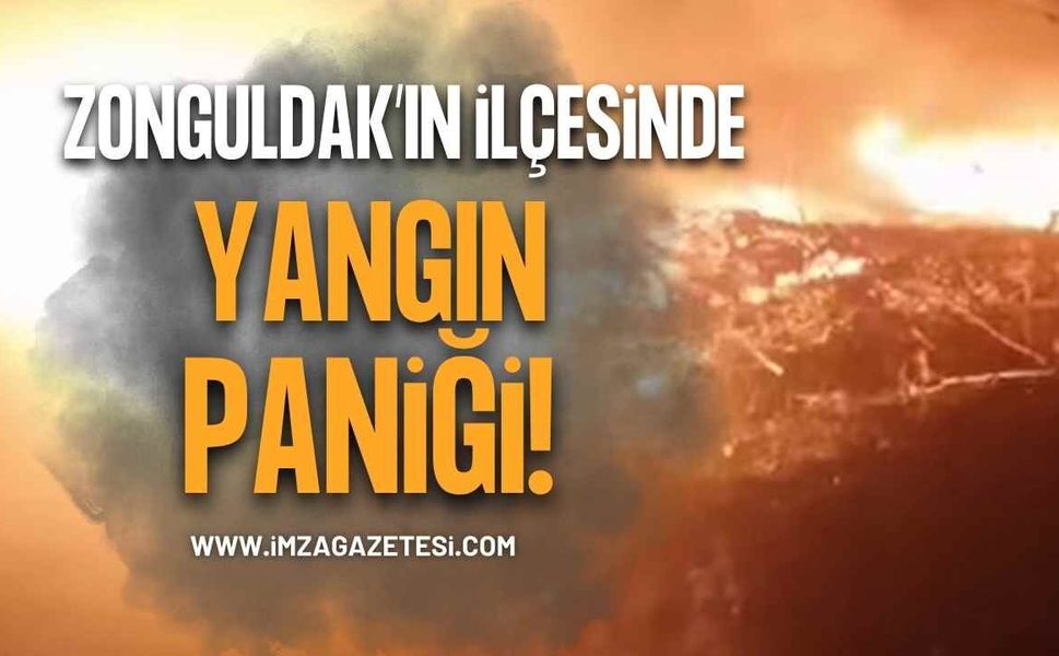 Zonguldak’ın ilçesinde yangın paniği!