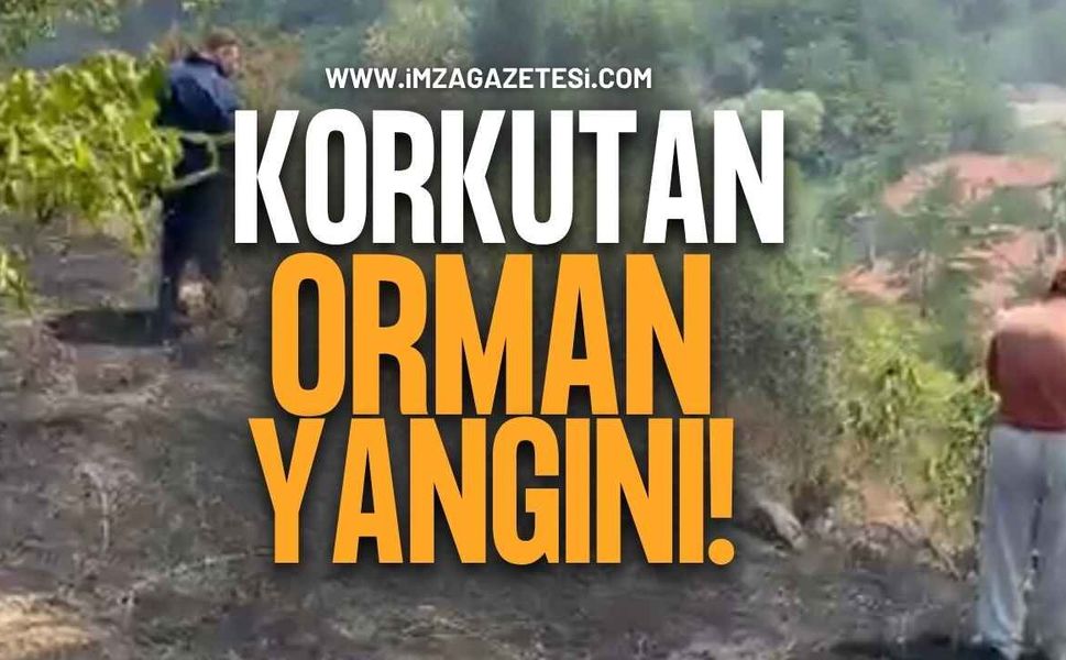 Zonguldak’ın Beldesinde Korkutan Orman Yangın!