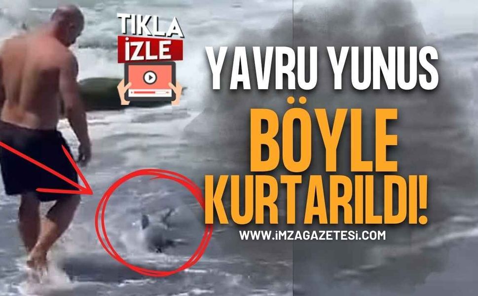 Karaya Vuran Yavru Yunusu Belediye Güvenlik Görevlisi Kurtardı!