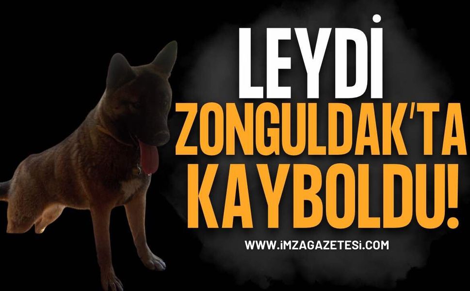 Zonguldak Belediyesi Arıtma Tesisinden Kayboldu: "Leydi" Aranıyor