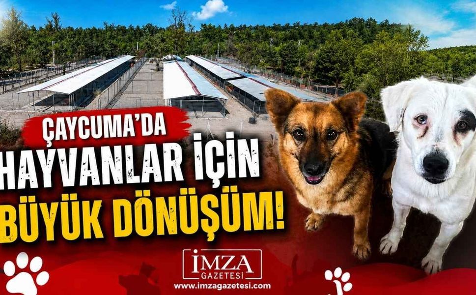 Çaycuma'da Hayvanlar İçin Büyük Dönüşüm!