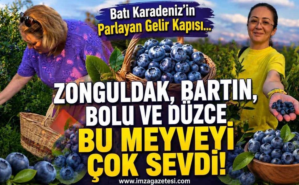 Batı Karadeniz'in Parlayan Gelir Kapısı... Zonguldak, Bartın, Bolu ve Düzce Bu Meyveyi Çok Sevdi!
