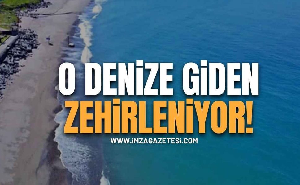 O Bölge Vatandaşa Plajları Zehir Etti!