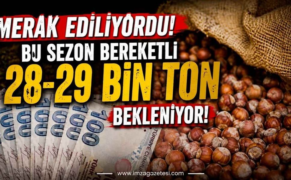 Merak Ediliyordu! Bu Sezon Bereketli 28-29 Bin Ton Bekleniyor!