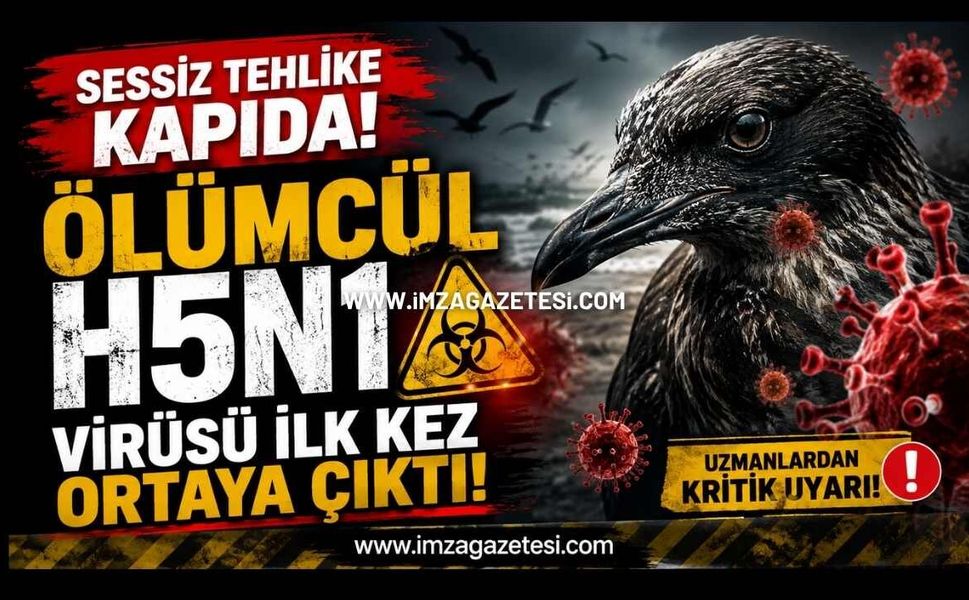 Sessiz Tehlike Kapıda! Ölümcül H5N1 Virüsü İlk Kez Ortaya Çıktı!