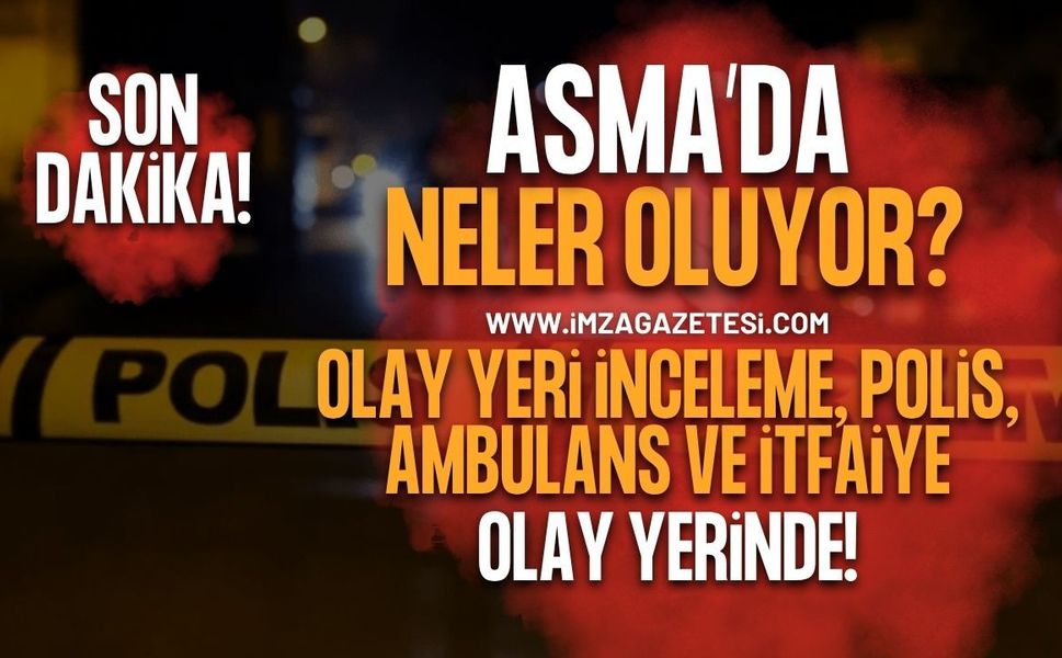 SON DAKİKA: Zonguldak Asma Mahallesi'nde Hareketli Gece! Çok Sayıda Ekip Bölgeye Sevk Edildi