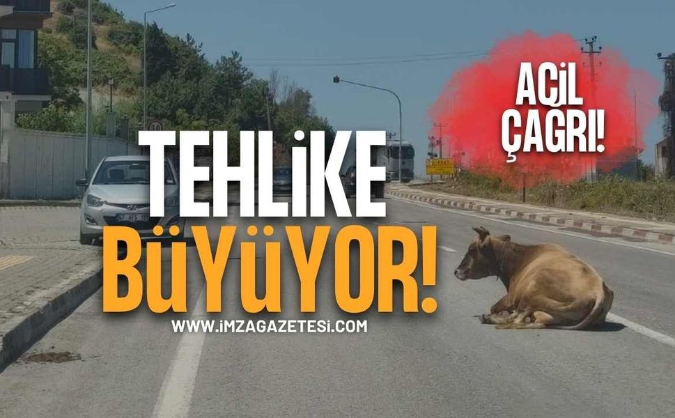 Vatandaşlardan Yetkililere Acil Çağrı! Tehlike Büyüyor!