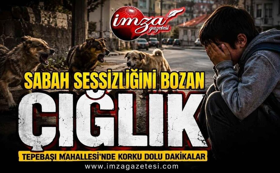 Sabah Sessizliğini Bozan Çığlık: Tepebaşı Mahallesi’nde Korku Dolu Dakikalar