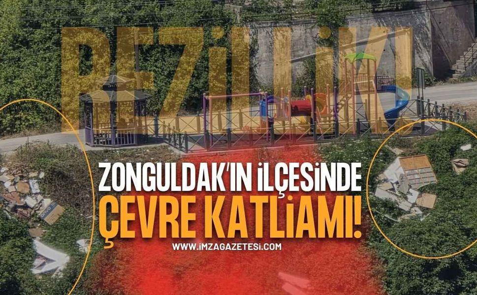Zonguldak'ın İlçesinde Çevre Katliamı: Bu Ne Rezillik?