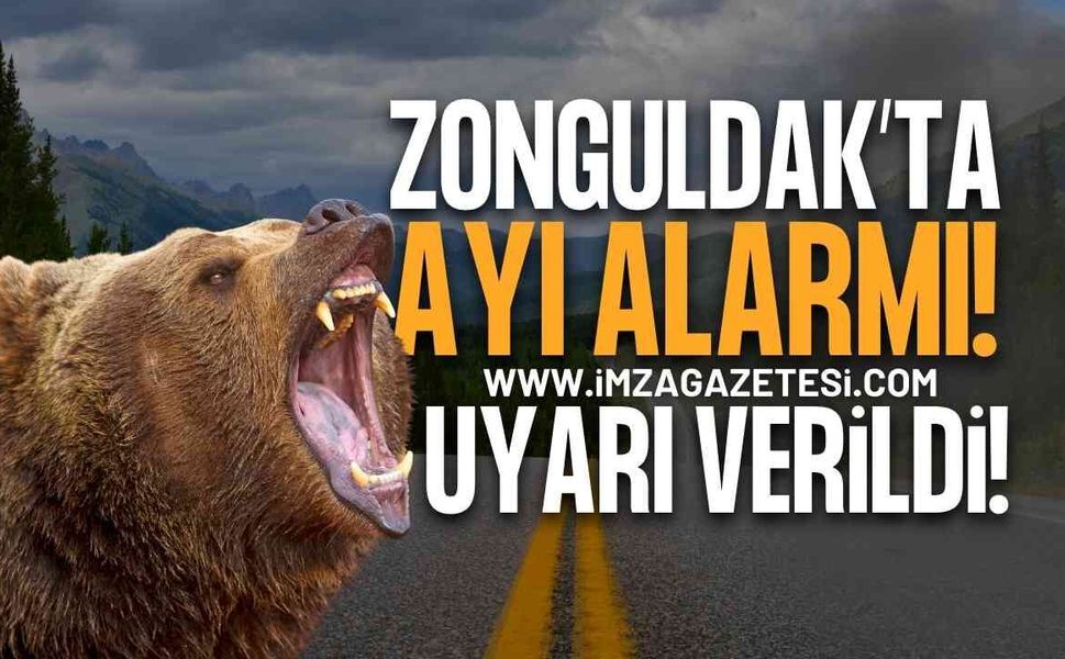 Zonguldak'ta Ayı Alarmı: Armutlucuma Yolu İçin Uyarı Verildi