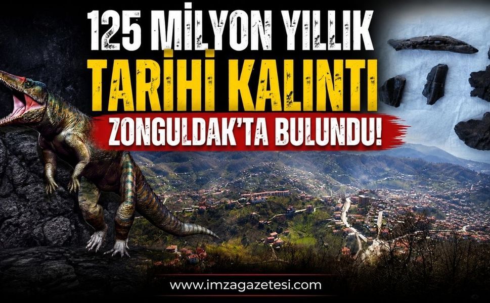 125 Milyon Yıllık Tarihi Kalıntı Zonguldak'ta Bulundu!