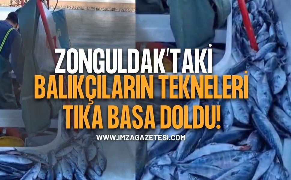 Zonguldak’taki Balıkçıların Tekneleri Tıka Basa Palamut Doldu!
