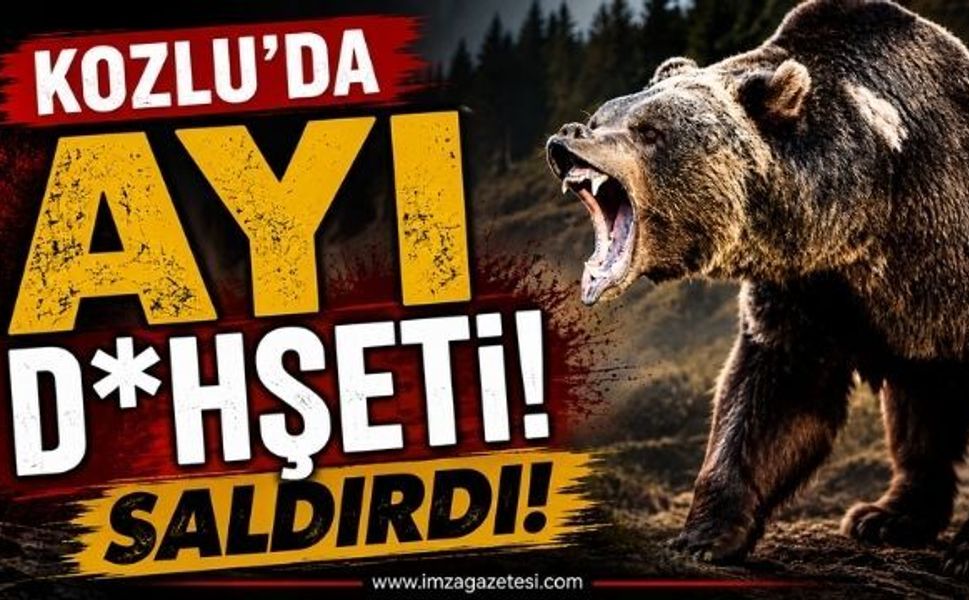 Kozlu’da Ayı D*hşeti! Saldırdı!