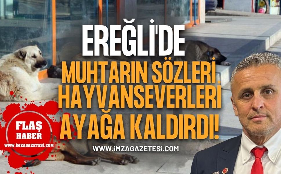 Ereğli'de Muhtarın Sözleri Hayvanseverleri Ayağa Kaldırdı!