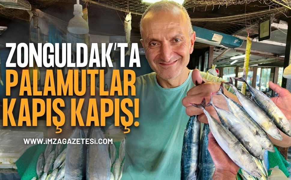 Zonguldak’ta Palamutlar Kapış Kapış!