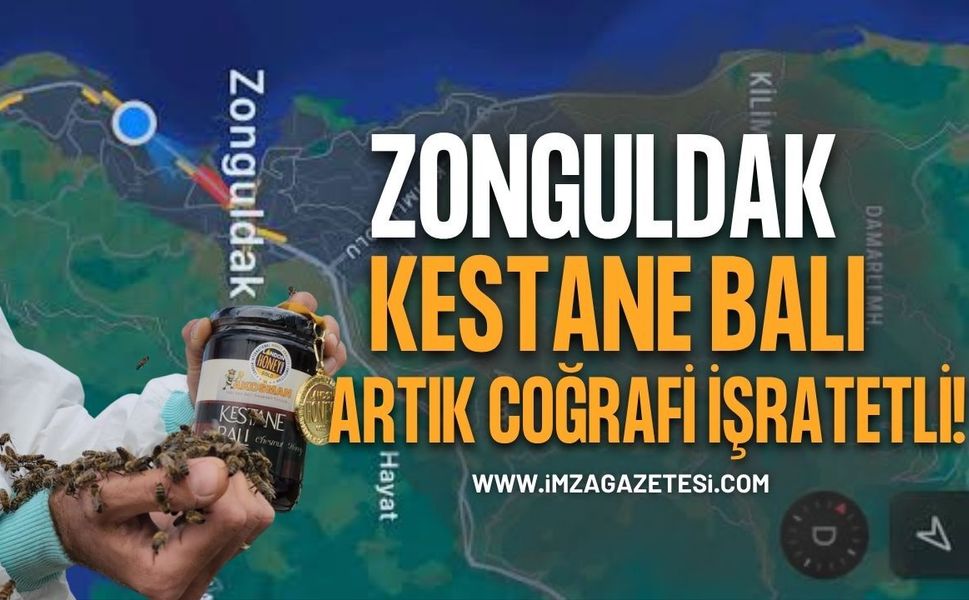 Müjde! Zonguldak Kestane Balı Coğrafi İşaretli Oldu!