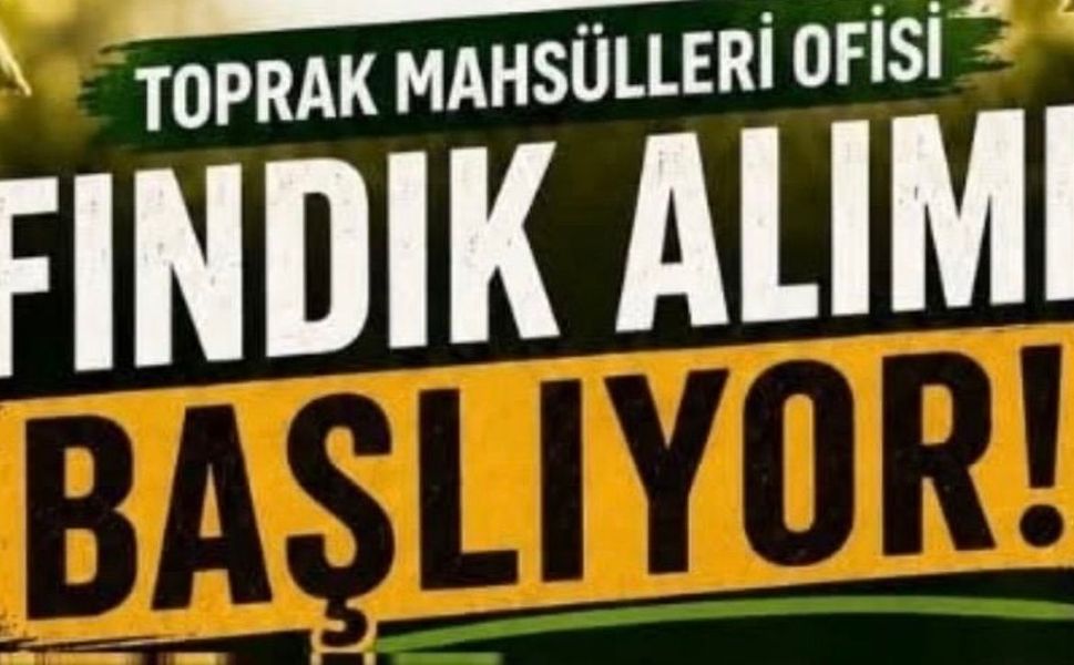 TMO Kdz. Ereğli Ve Alaplı’da Fındık Alımına Başlıyor!